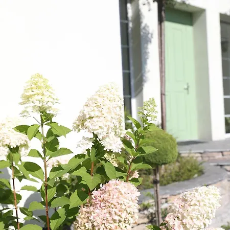 The Peaceful House 民宿 *