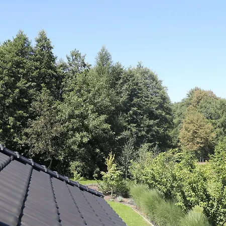 The Peaceful House *